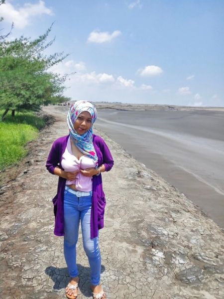 gambar ekosistem sawah