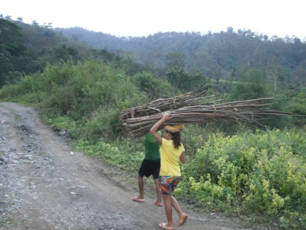 pntl timor leste