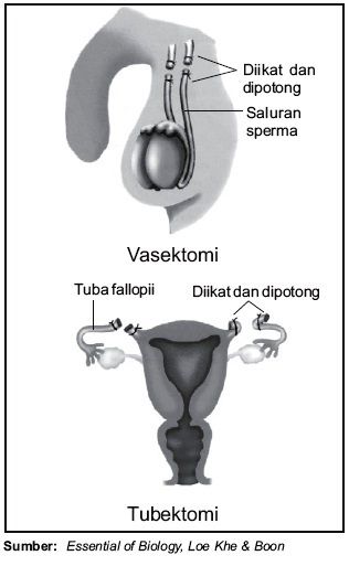 cara bersetubuh yang memuaskan