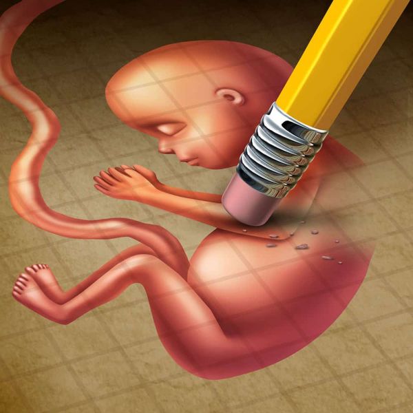 pro  life trump memes