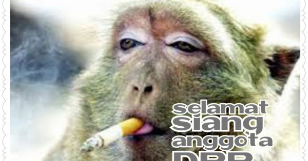 wong jawa ayu
