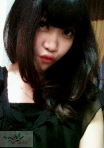 artis seksi
