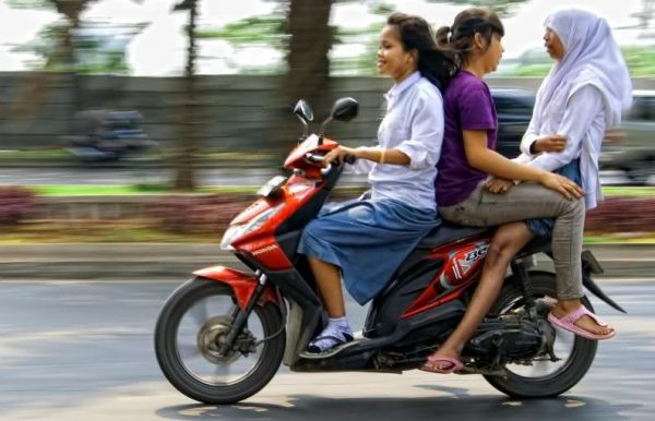 burung cabe cabean