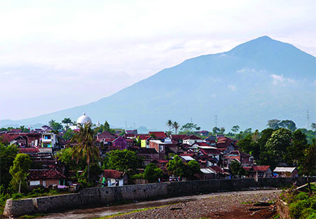 lelaki yang puasin tante disebut apa