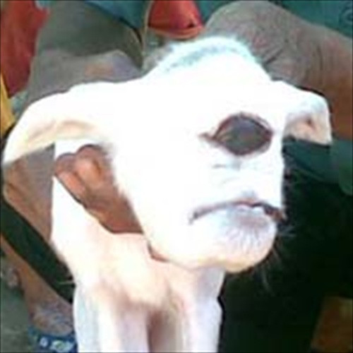 fenomena aneh di dunia