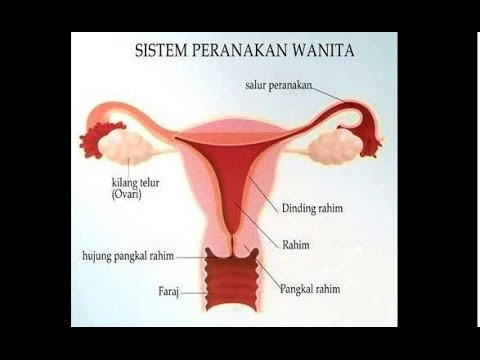 gambar bahagia