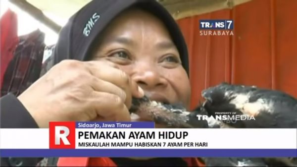 si montok ngentot gambar bergerak gerak