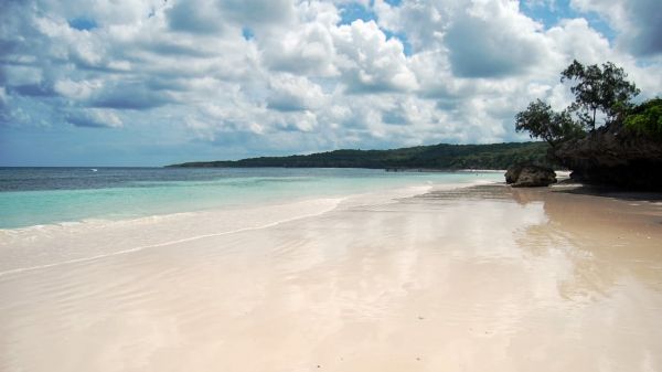 bira terkini