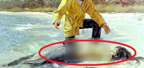 ikan duyung wujud