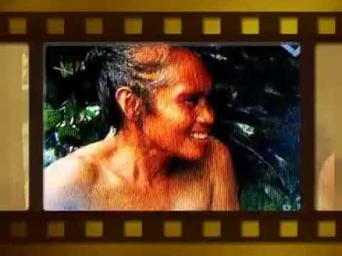 ml di hutan