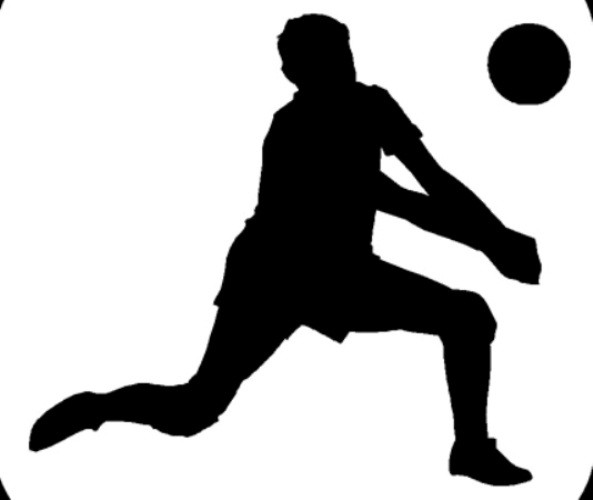 profil dan biografi pemain volly putri indonesia