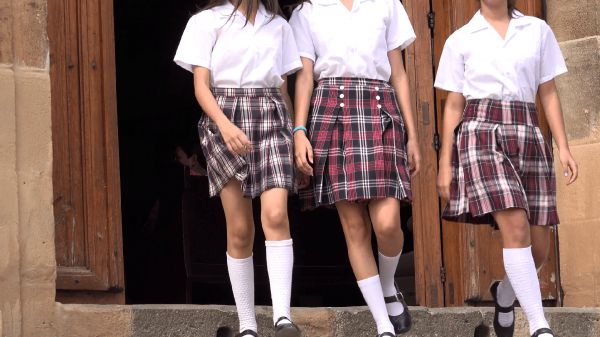 animasi gambar haiwan