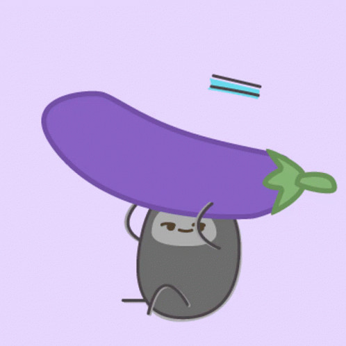 petugas perhubungan