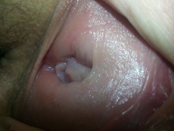 memek mantap