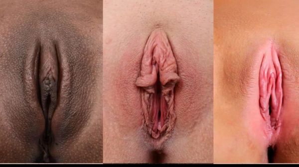 macam macam gambar olahraga