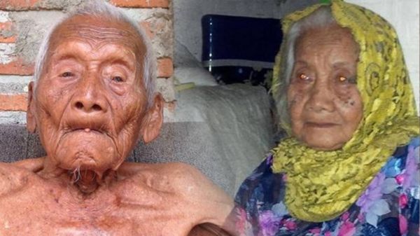 nenek moyang bangsa indonesia