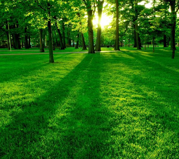background keren pemandangan
