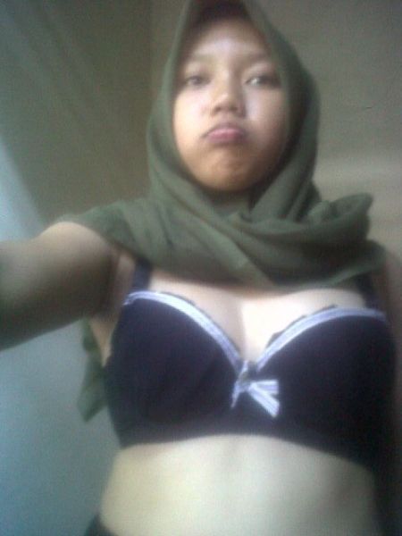 alat penarik