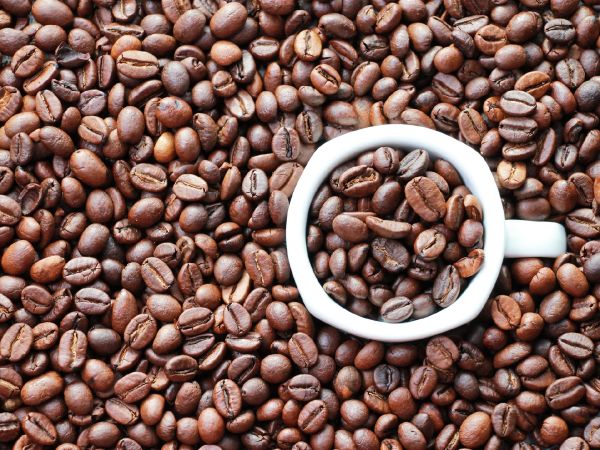 organic arabica coffee beans