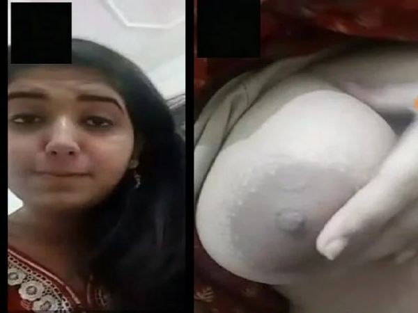 kupu kupu drak malam