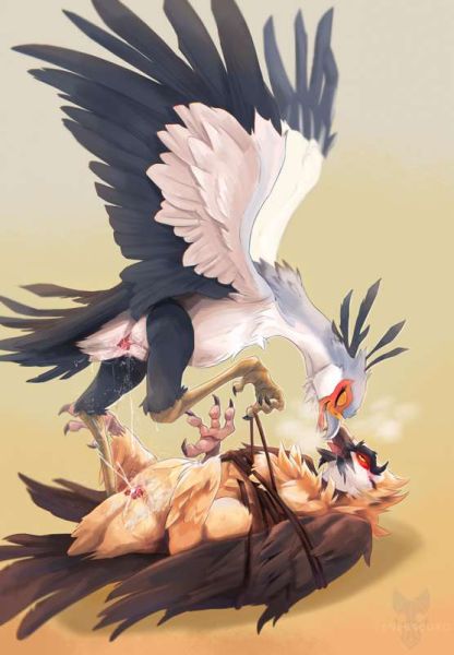paruh burung kolibri